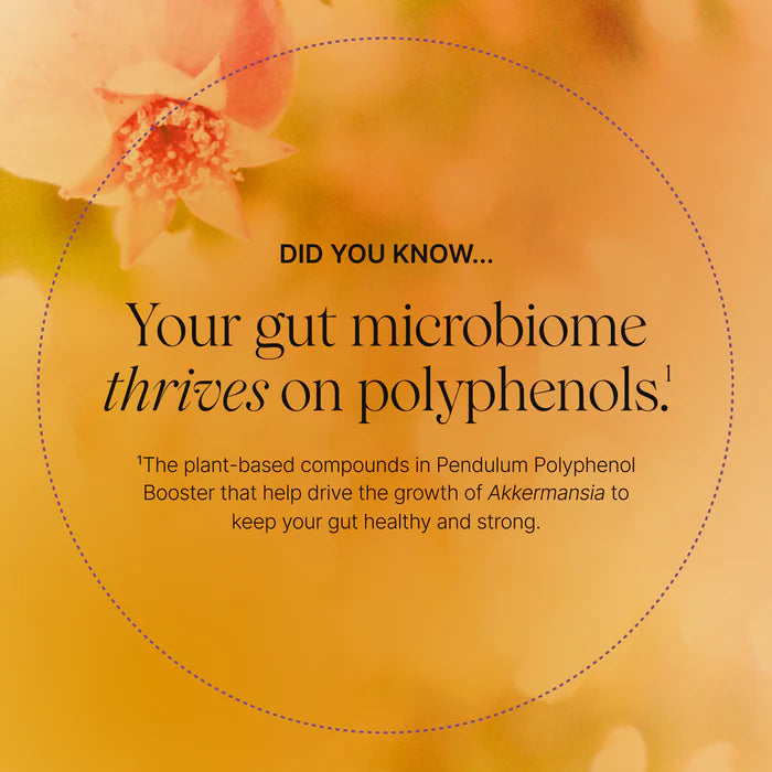 Polyphenol Booster