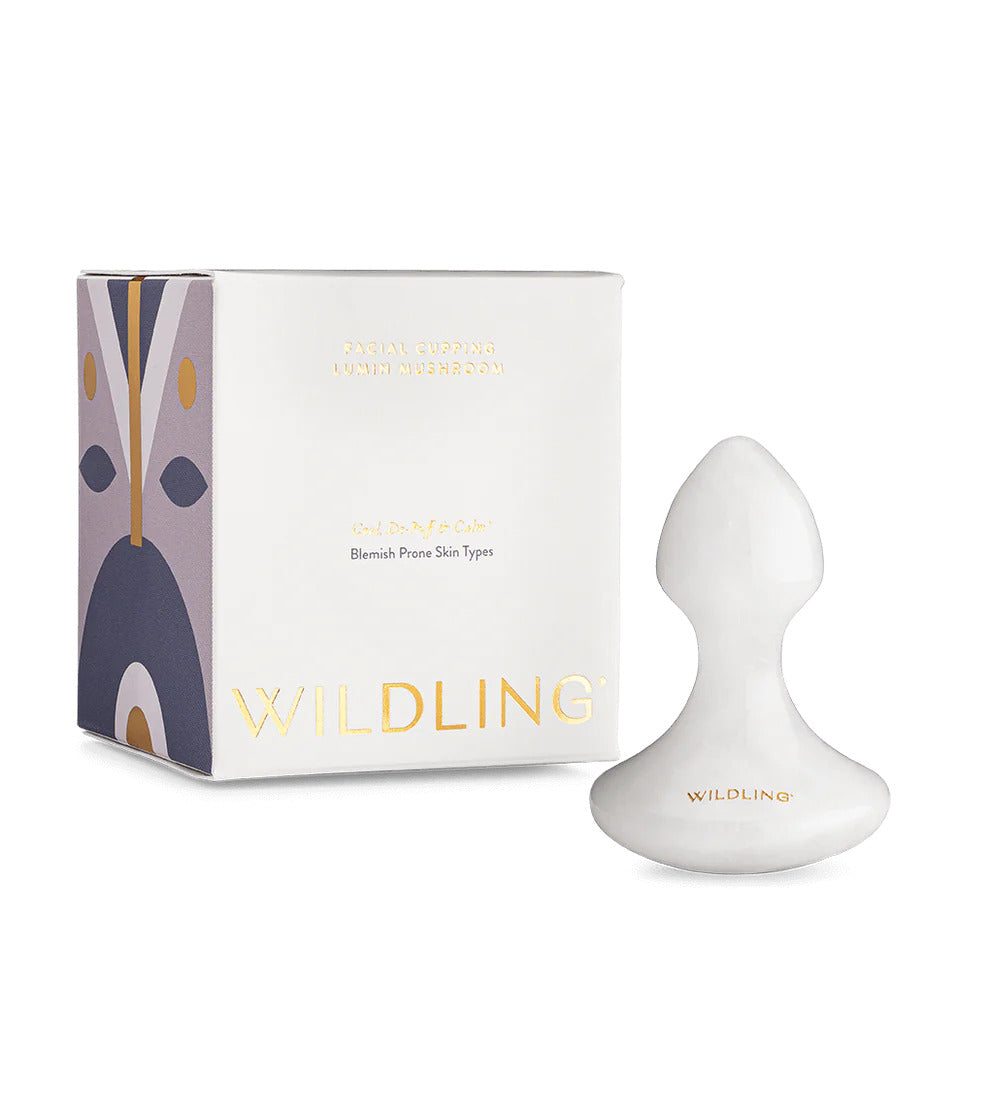 Lumin Mushroom Stone