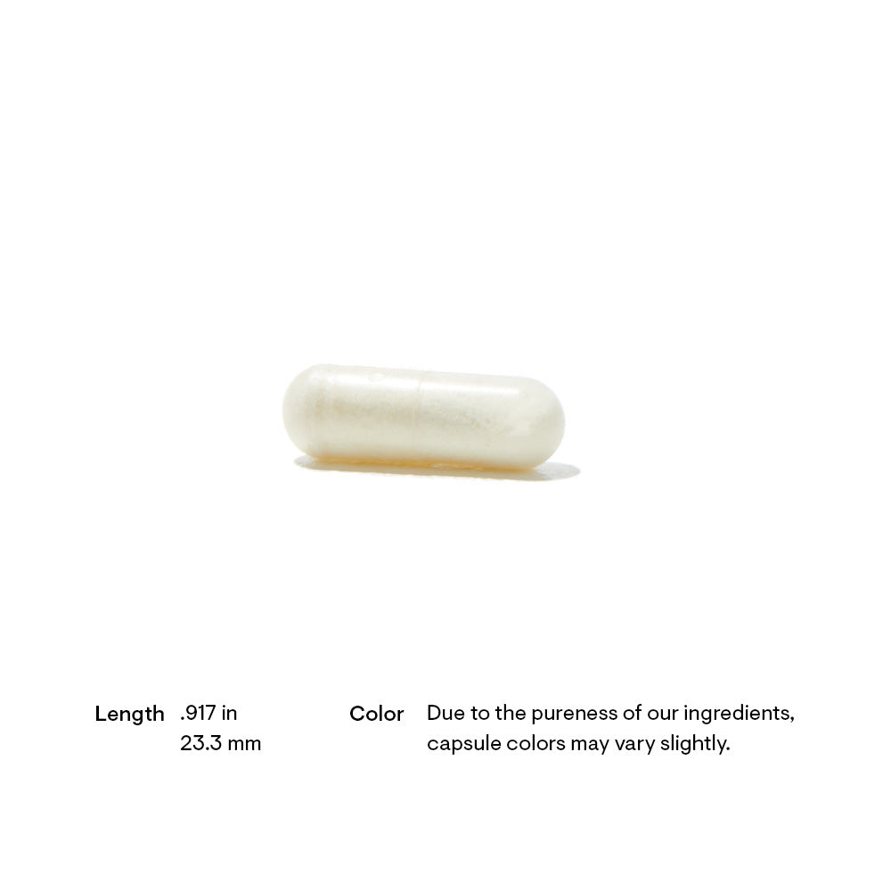 Bio-Gest