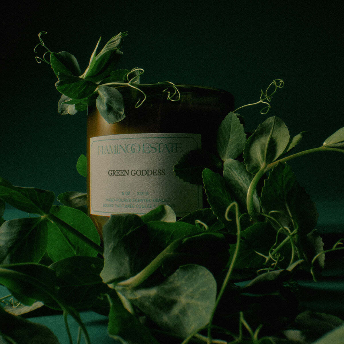 Flamingo Estate Organic Candles