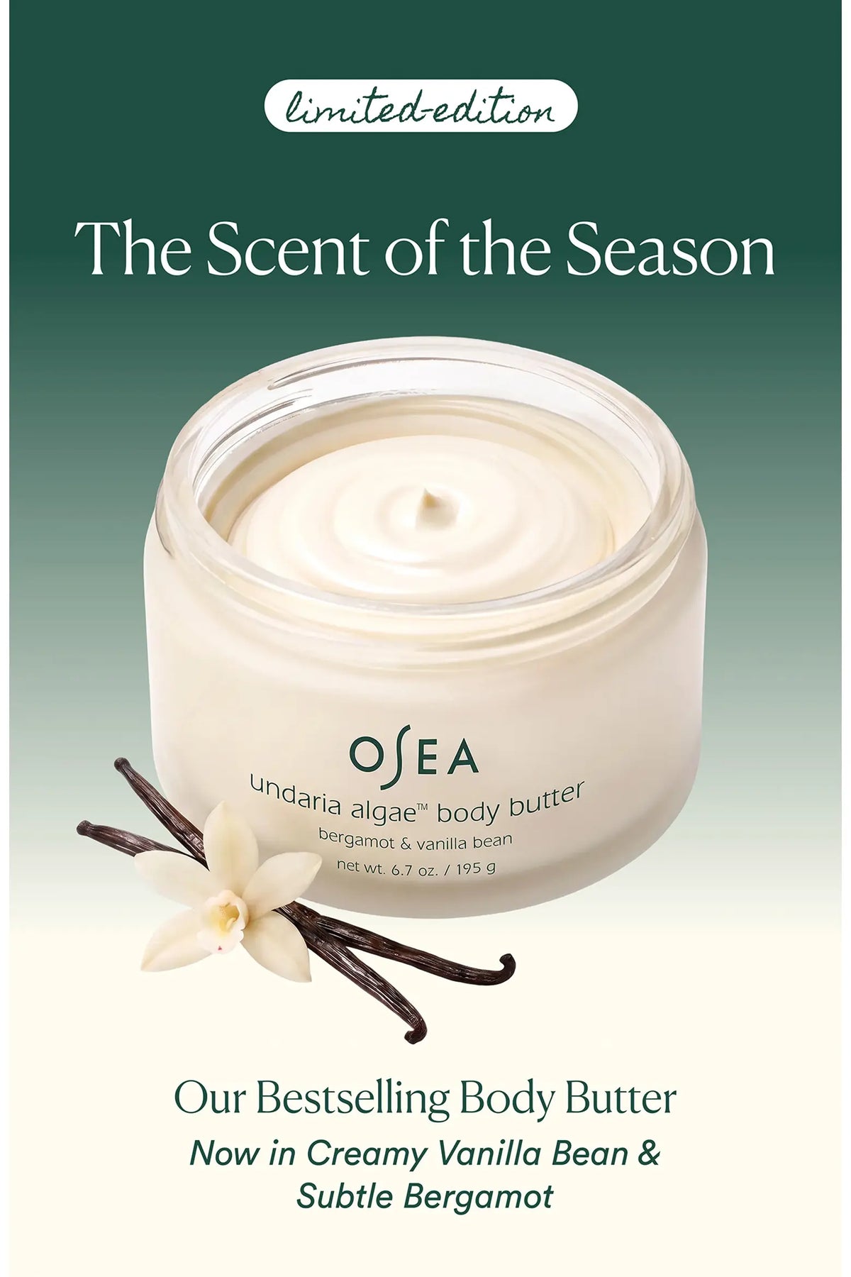Undaria Algae Bergamot & Vanilla Bean Body Butter
